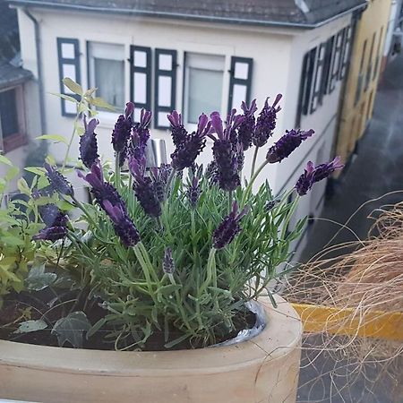 Haus Alfina Villa Dış mekan fotoğraf