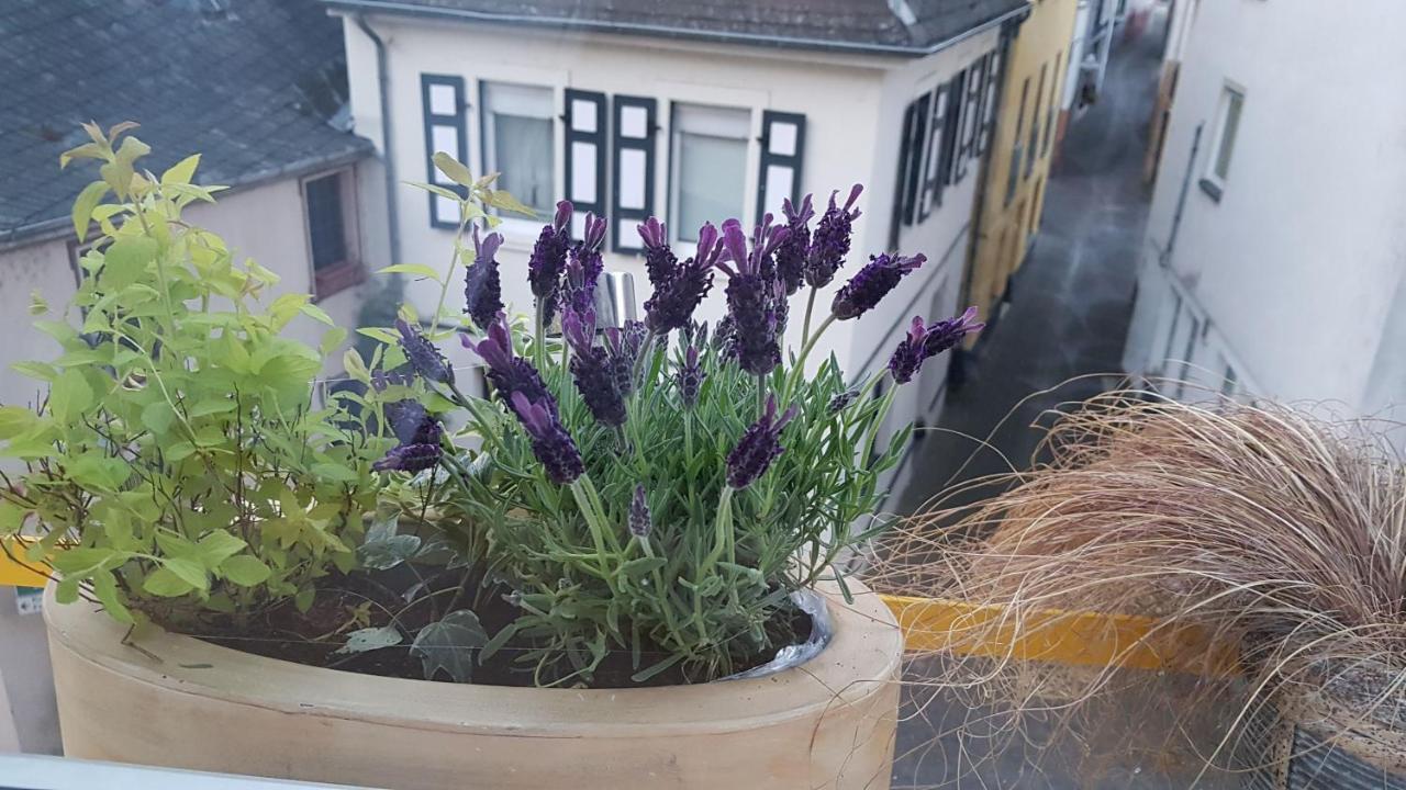 Haus Alfina Villa Dış mekan fotoğraf